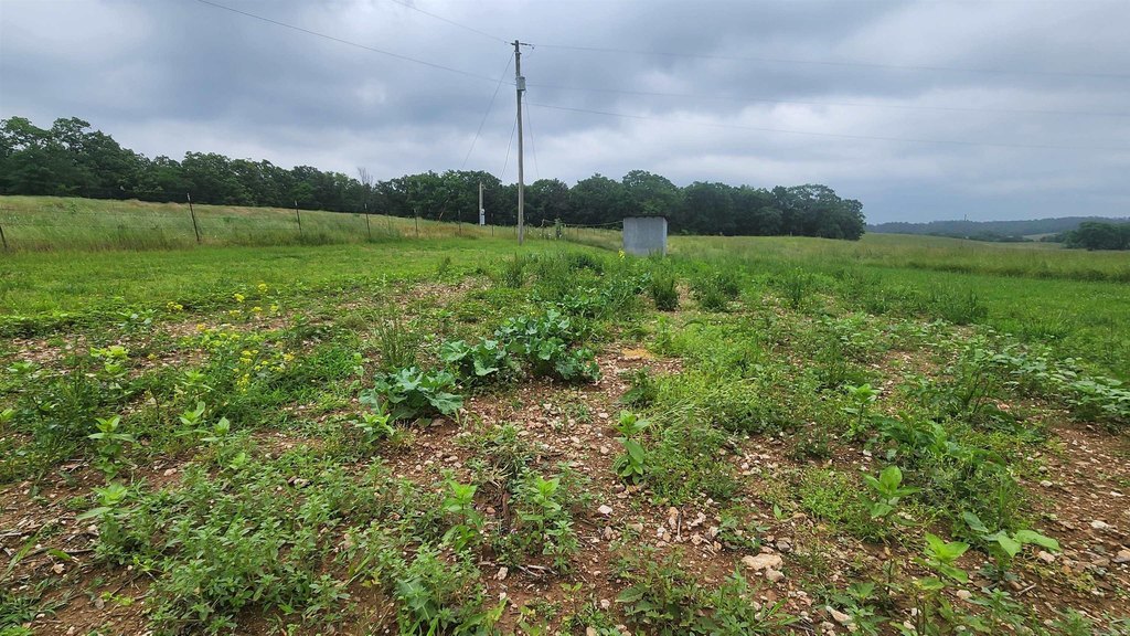 Picture 11