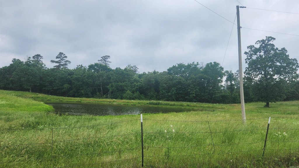 Picture 12