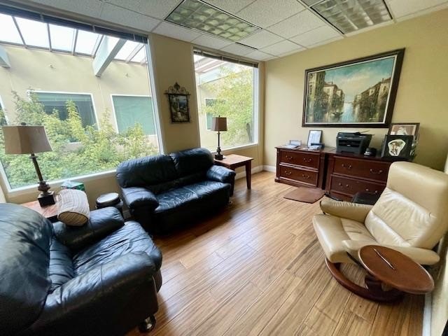 Picture 6