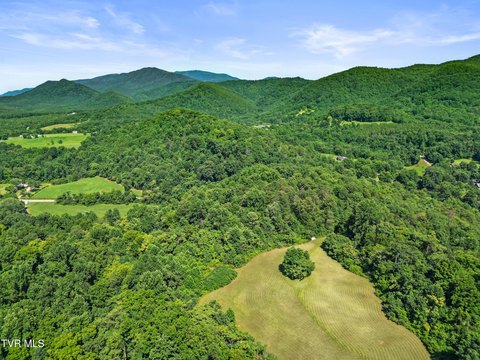 Scenic Greene County Land Parcel