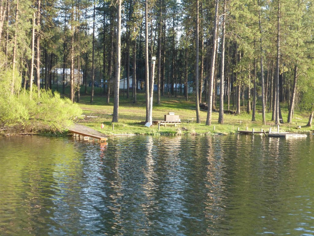 Picture 14