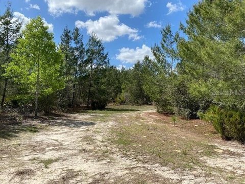 Archer, FL Land for Sale