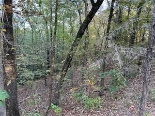 Wooded Land in Oxford, MS