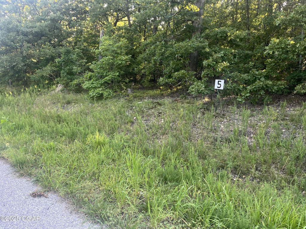 Picture 5