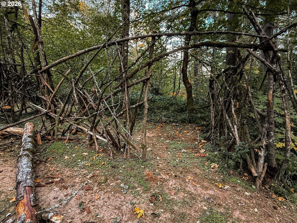 Picture 40