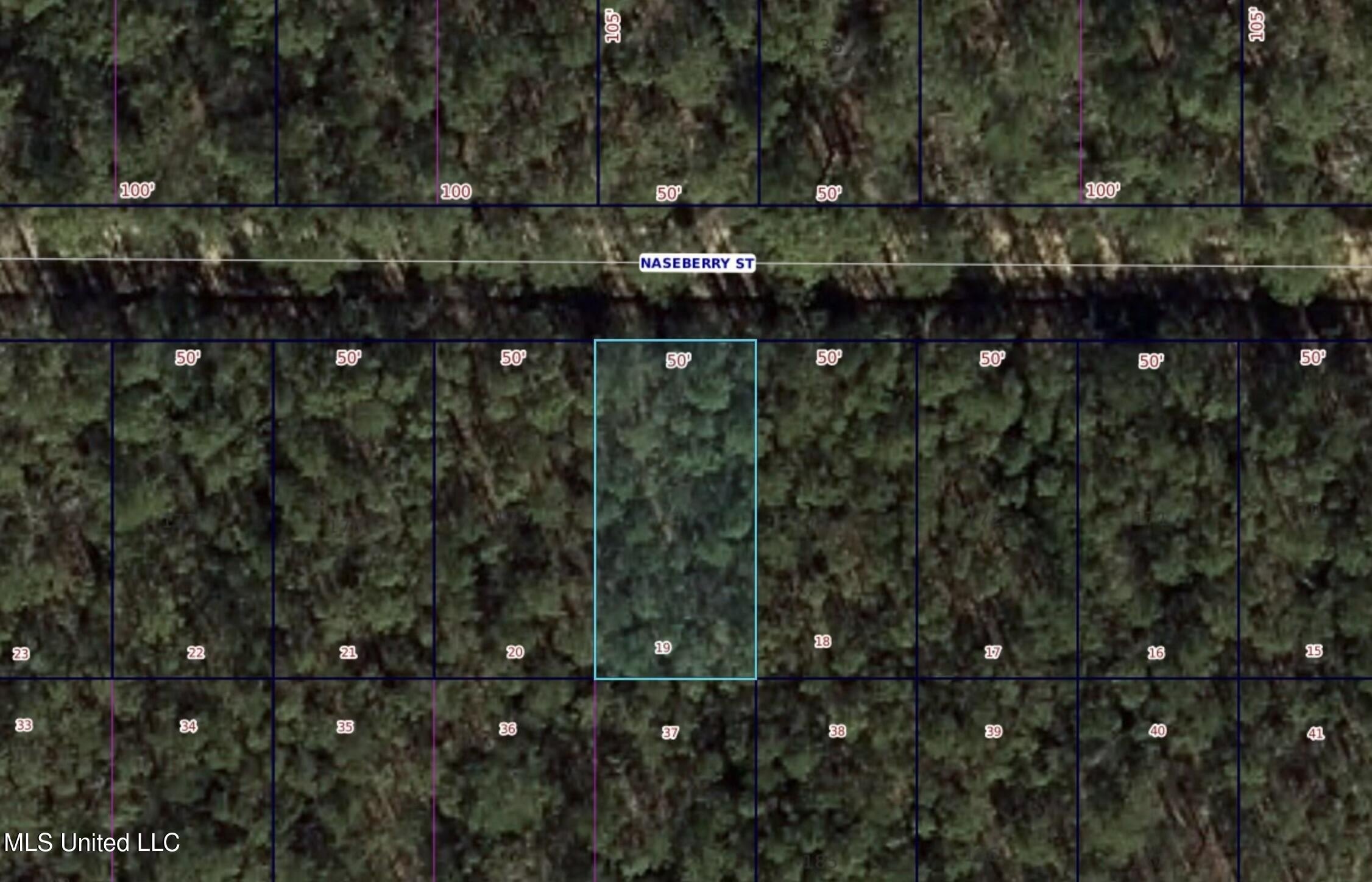 Wooded Lot in Bay Saint Louis