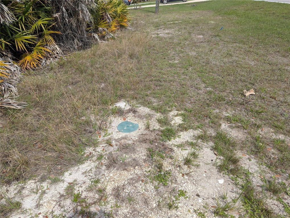Picture 4