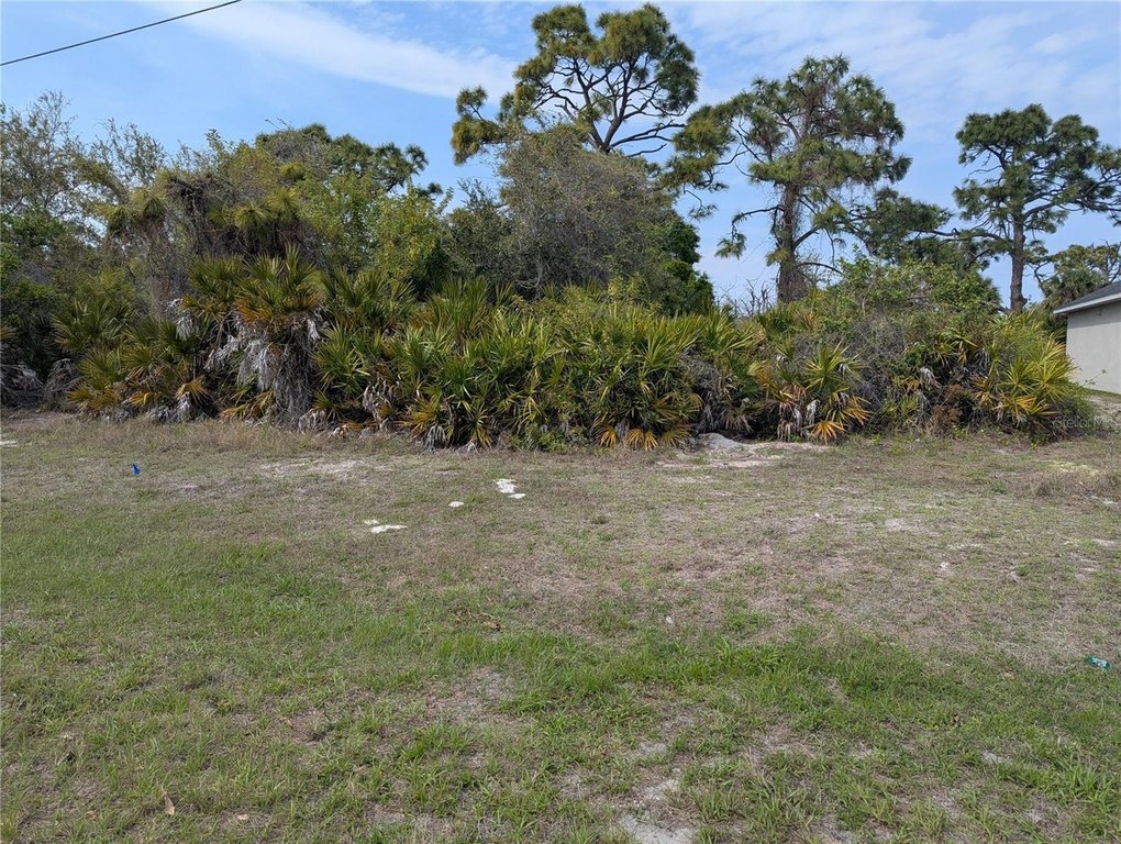 Picture 2