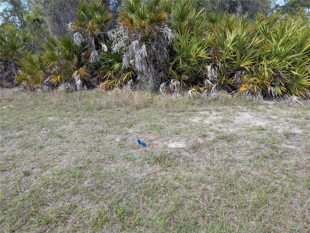 Picture 3