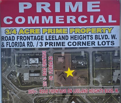 Lehigh Acres Commercial Redevelopment Site