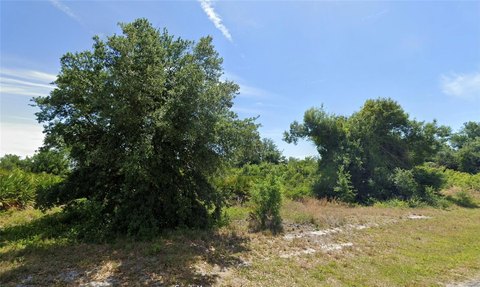 Land, PORT CHARLOTTE, FL
