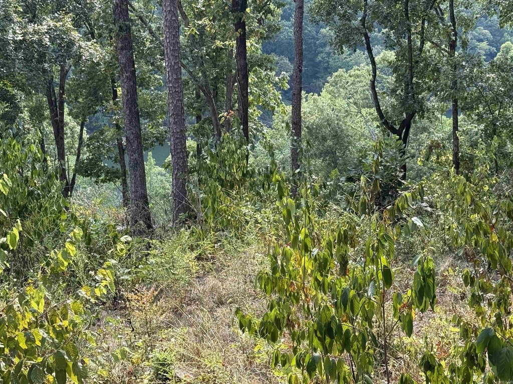 Picture 12