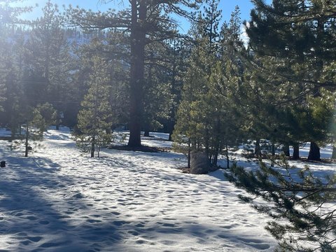 Land in Christmas Valley