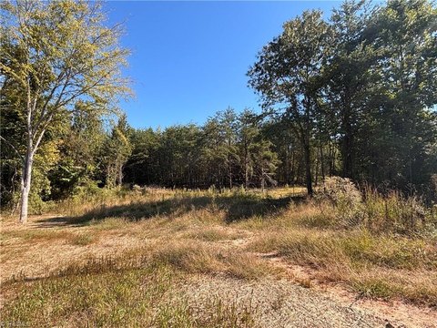 Land, Stoneville, NC