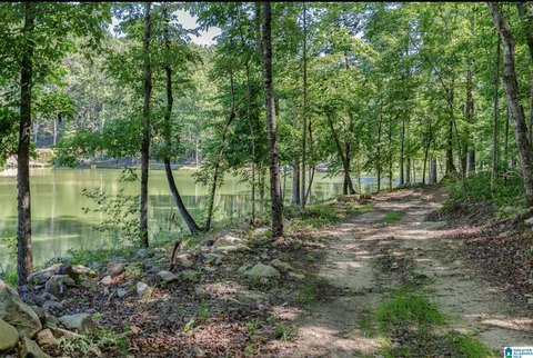 LAND - CHELSEA, AL