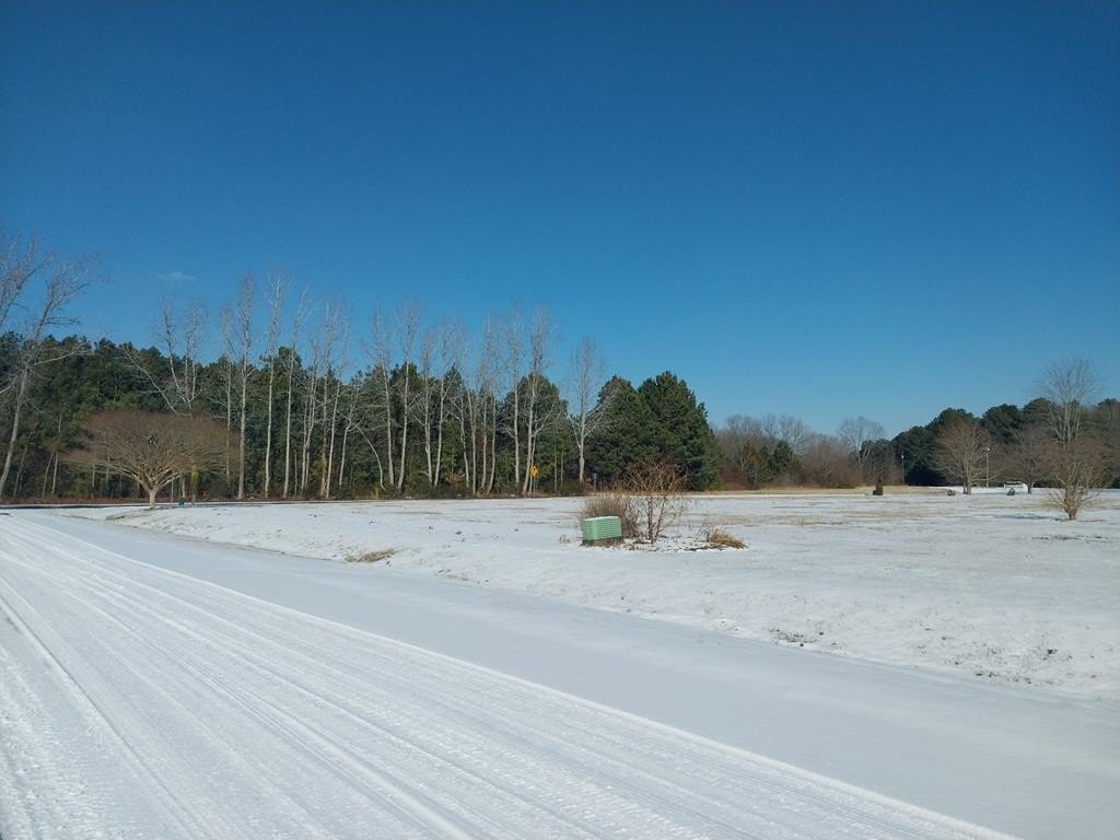 Picture 8
