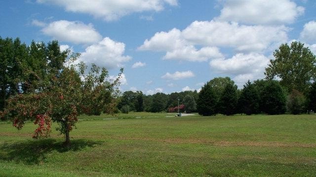 Residential Lot in Nandua Heights