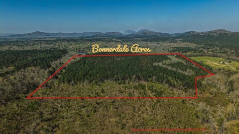 Timber and Hunting Land Tract