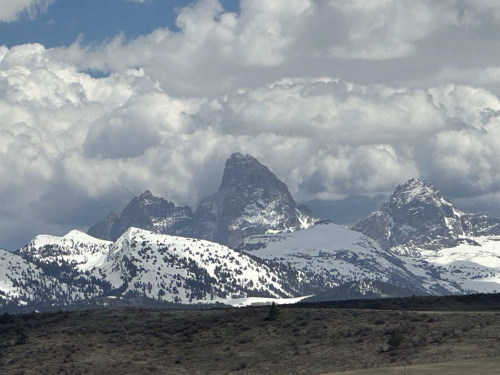 Picture 43