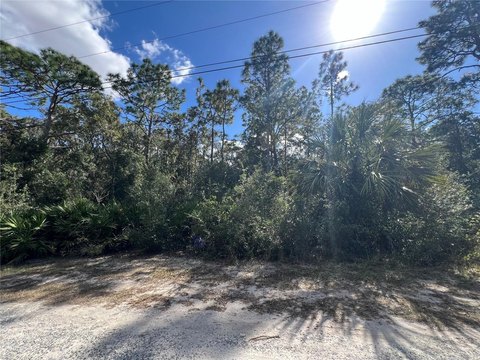 Land, CRYSTAL RIVER, FL