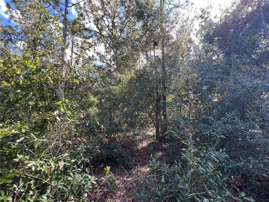 Picture 10