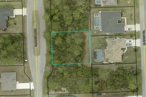 LAND - PALM COAST, FL