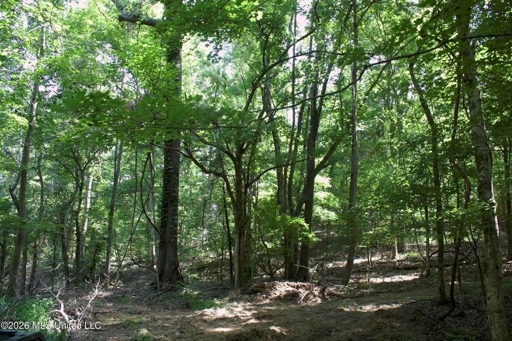 Picture 42