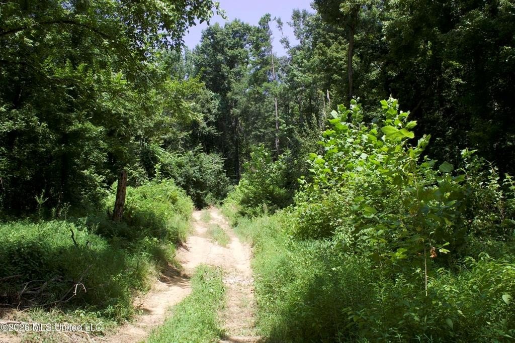Picture 39