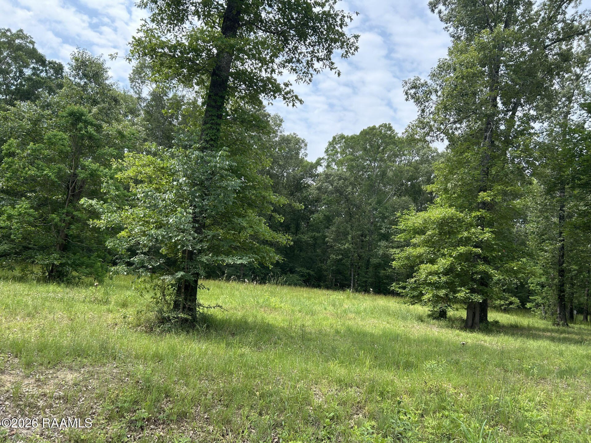 Residential Land with Utilities