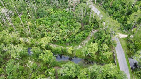 LAND - Perry, FL