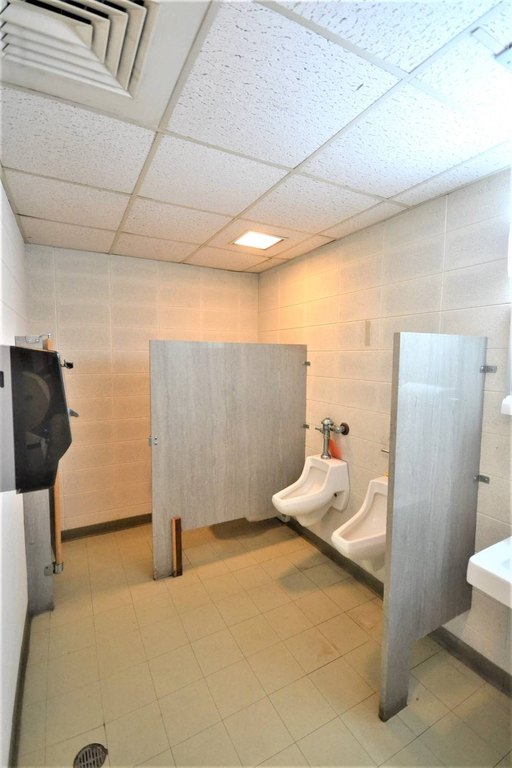 Picture 16