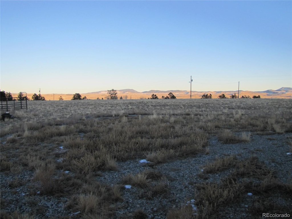 Picture 20