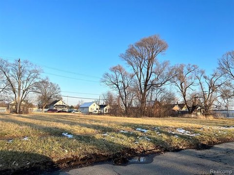 Detroit Land Opportunity Near Corktown