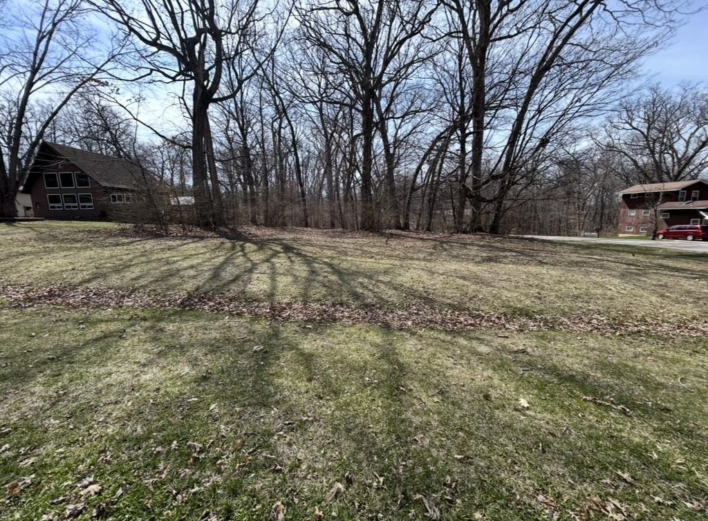 Picture 2