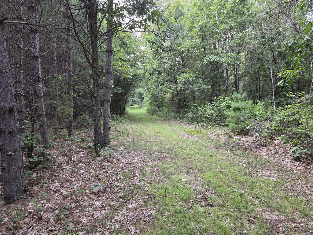 Picture 22