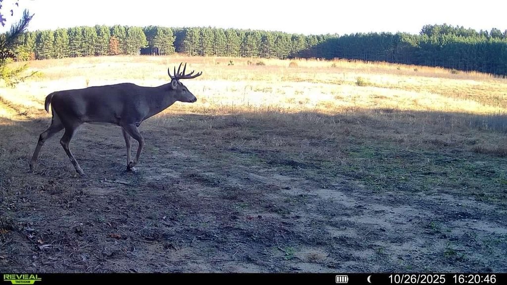Picture 2