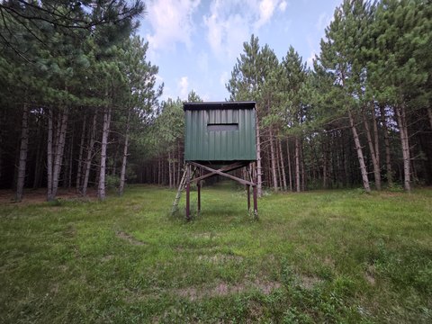 Hunting Land with Maintained Trails