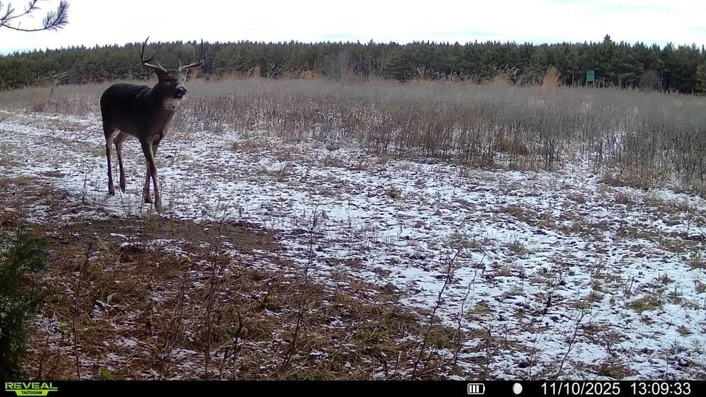 Picture 11