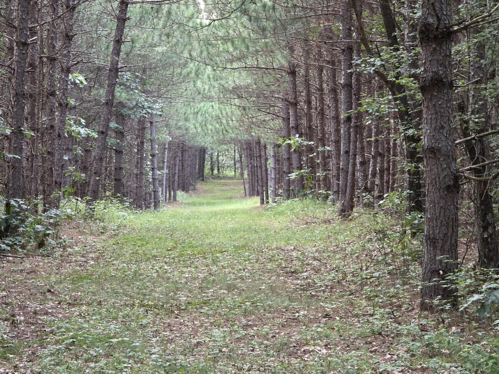 Picture 16