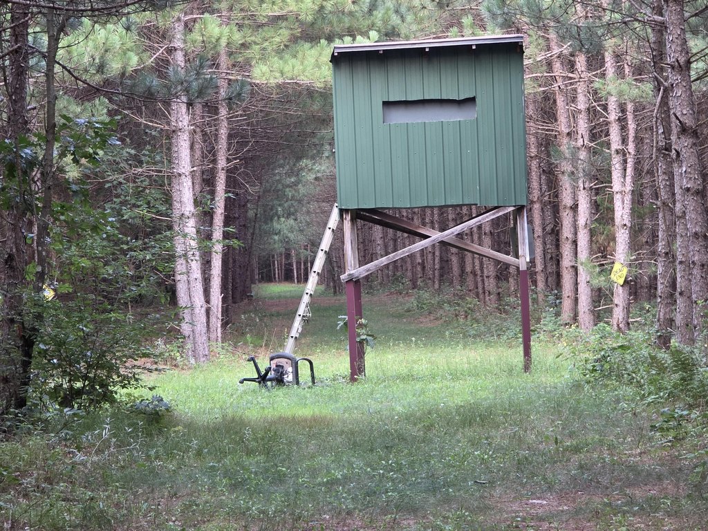 Picture 23