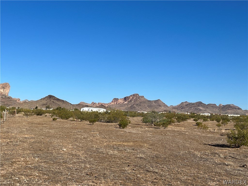 Picture 11
