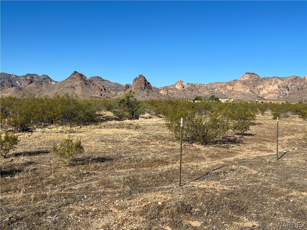Picture 23