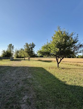 LAND - Owosso, MI