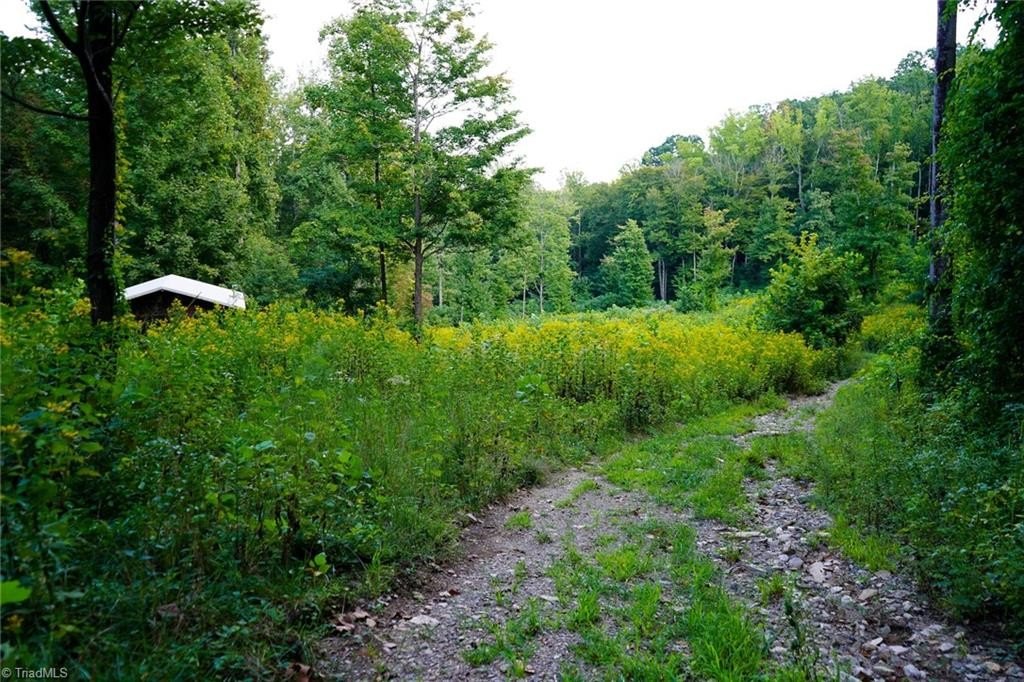 Picture 6
