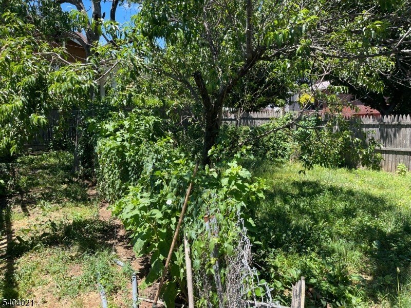 Picture 18