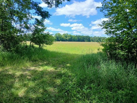 Cleared Level Farmland Parcel