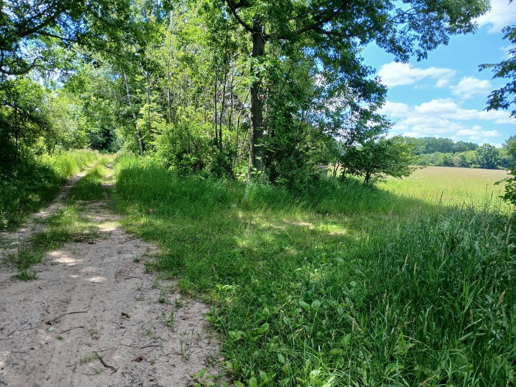 Picture 8