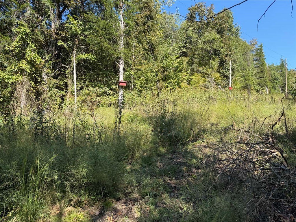 Picture 31