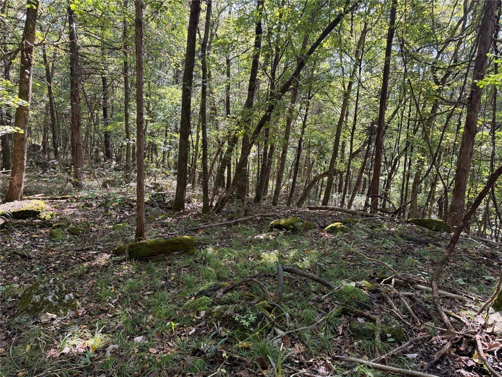 Picture 17