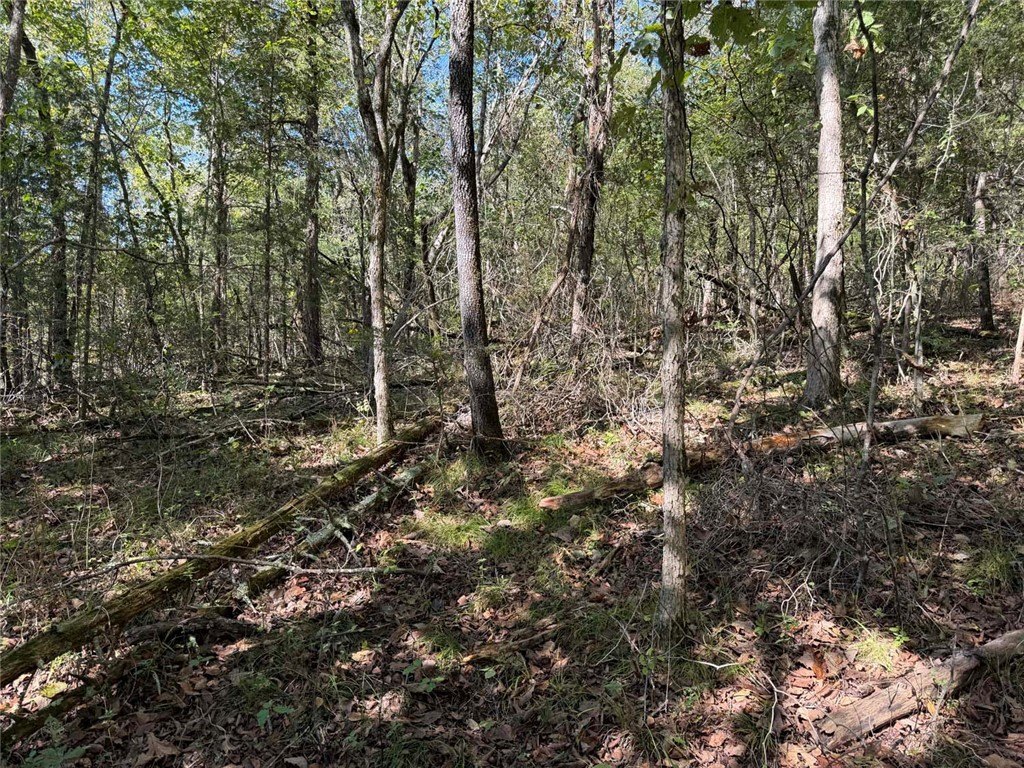 Picture 33